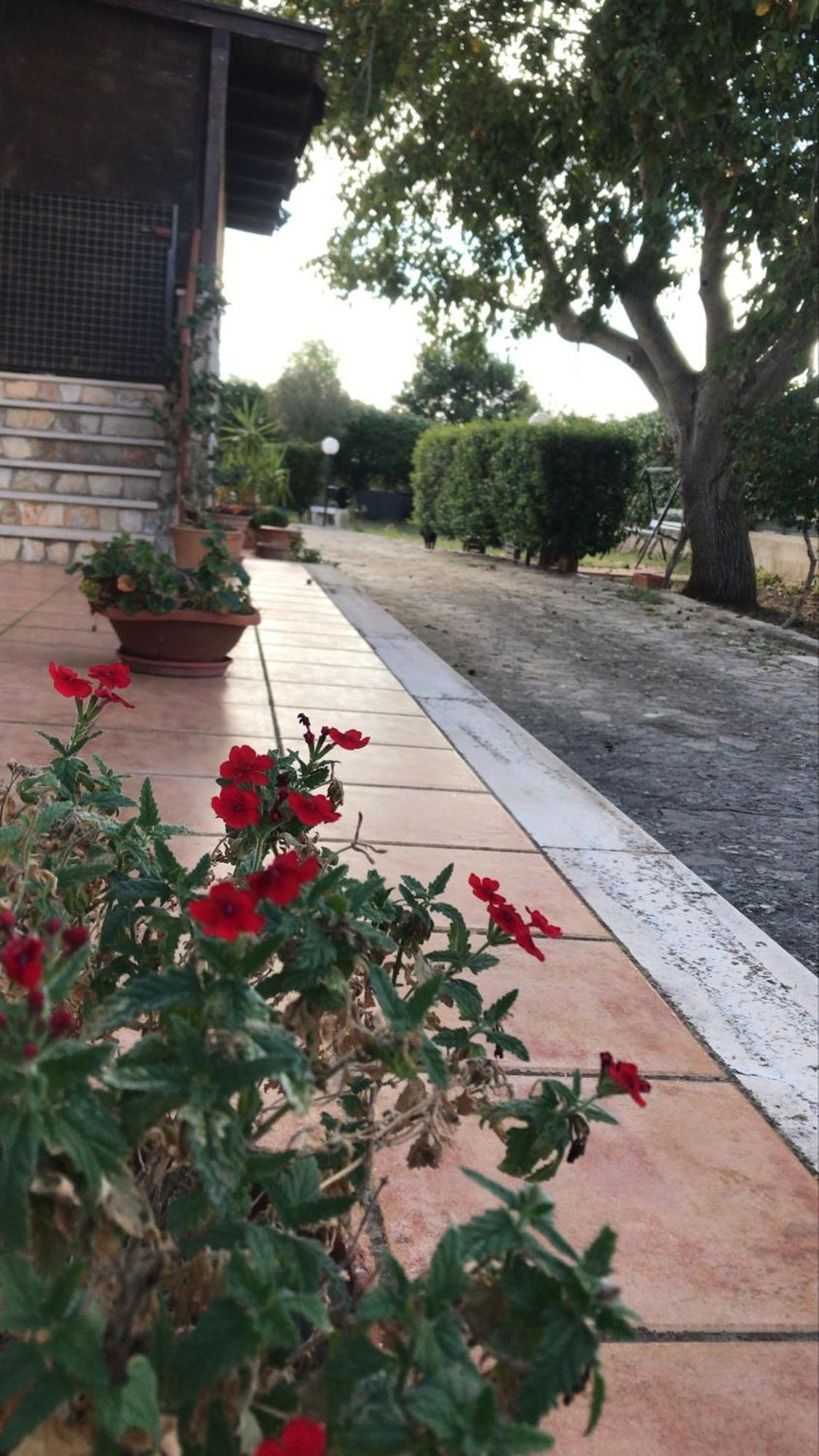 ג'ויה דל קולה Villa Marida מראה חיצוני תמונה