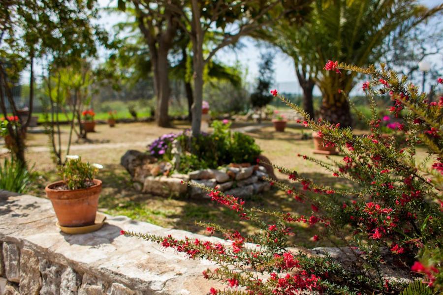 ג'ויה דל קולה Villa Marida מראה חיצוני תמונה