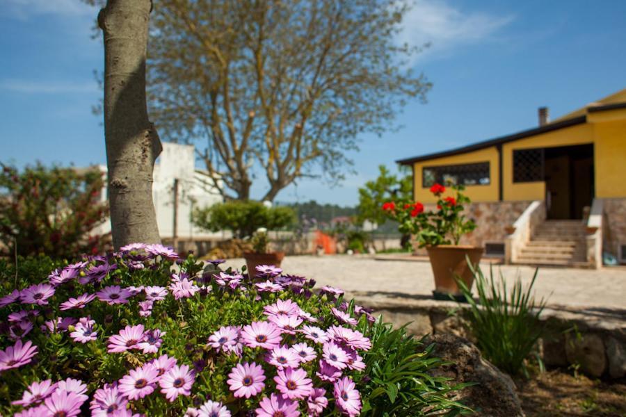 ג'ויה דל קולה Villa Marida מראה חיצוני תמונה